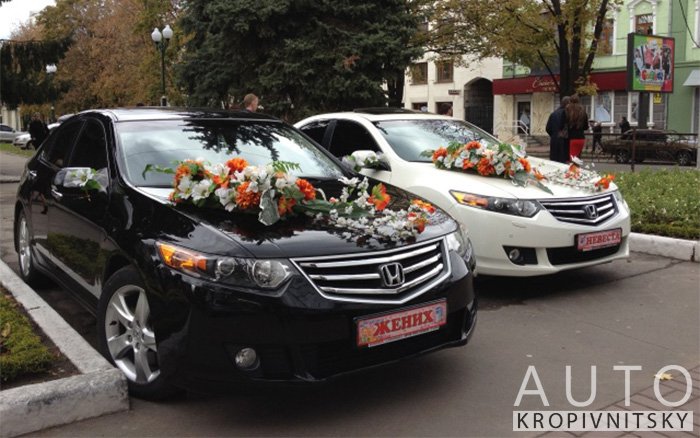 Аренда Honda Accord на свадьбу Кропивницкий
