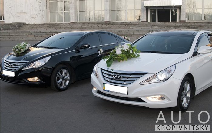 Аренда Hyundai Sonata на свадьбу Кропивницкий